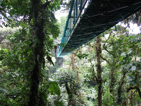 Meacham image of Monte Verde bridge